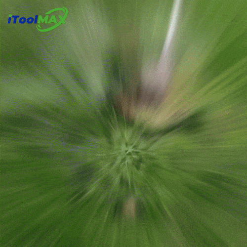 3-in-1 Cordless Grass Trimmer & Edger